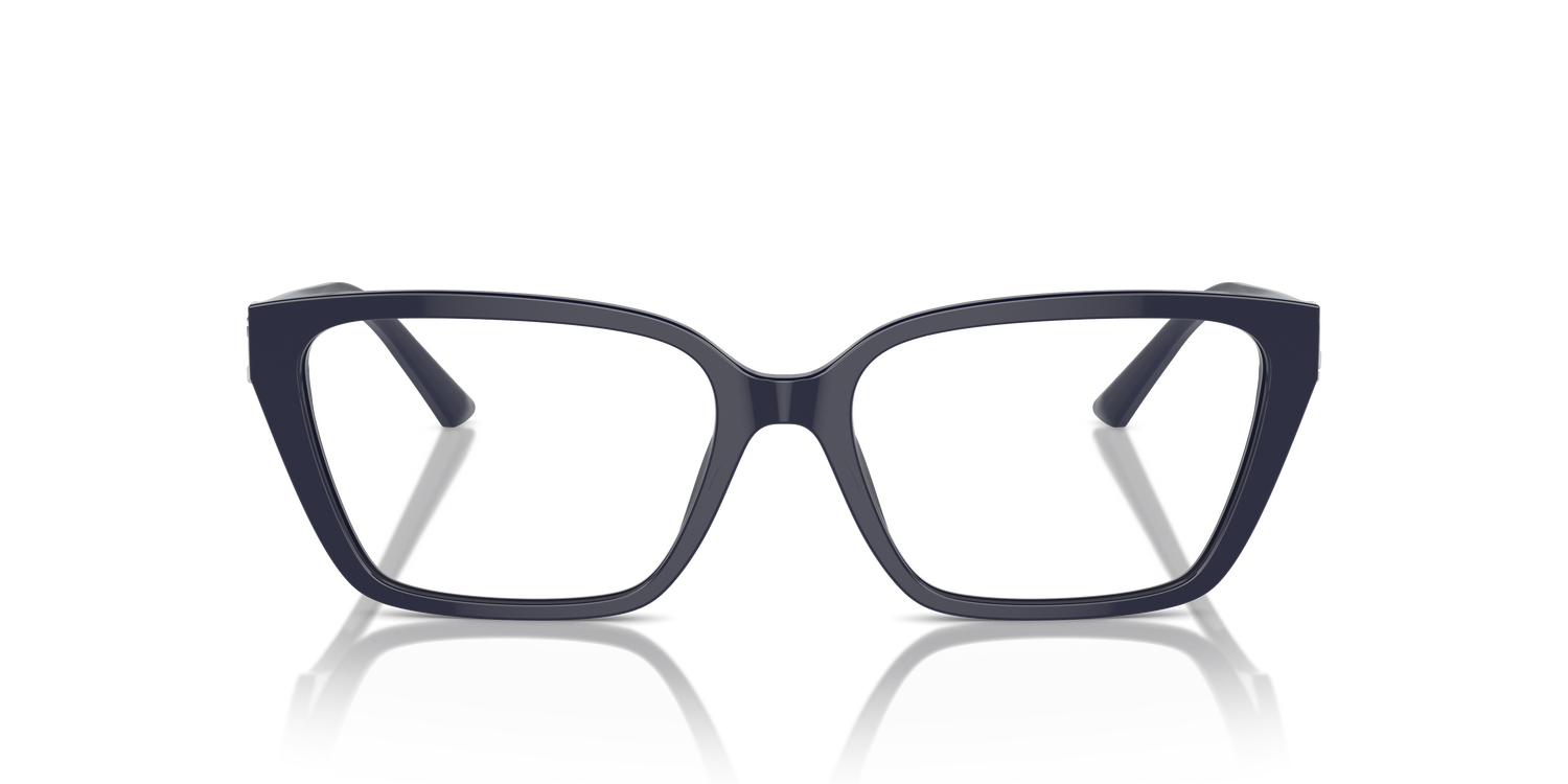 JIMMY CHOO JC3008 5016 55