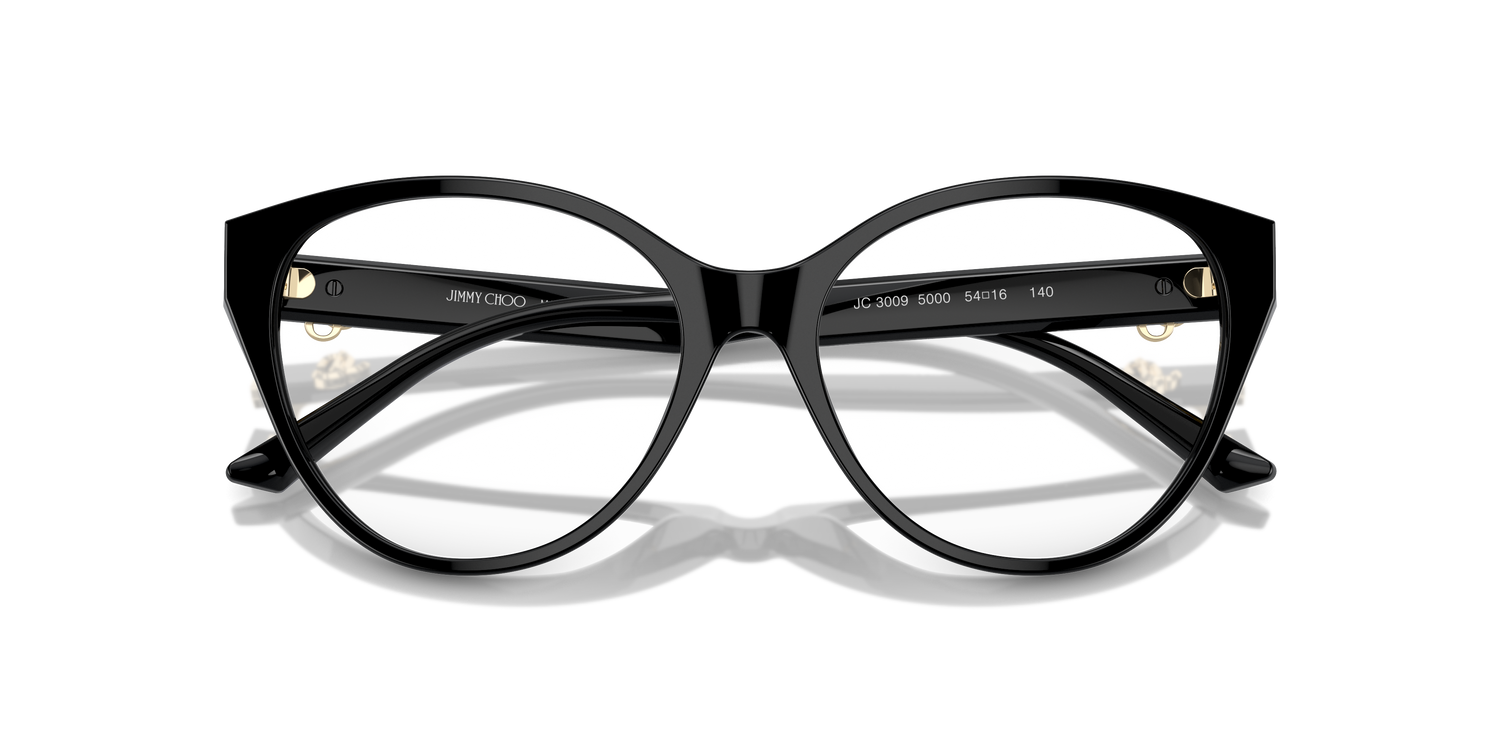 JIMMY CHOO JC3009 5000 54