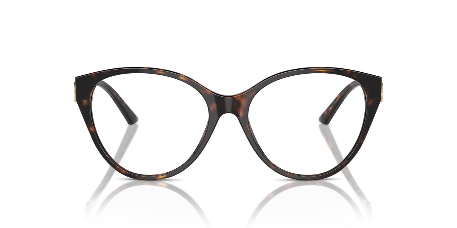 JIMMY CHOO JC3009 5002 54