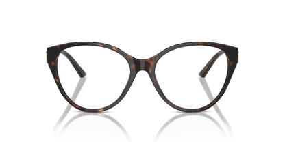 JIMMY CHOO JC3009 5002 54