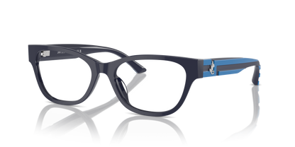 JIMMY CHOO JC3010U 5016 52