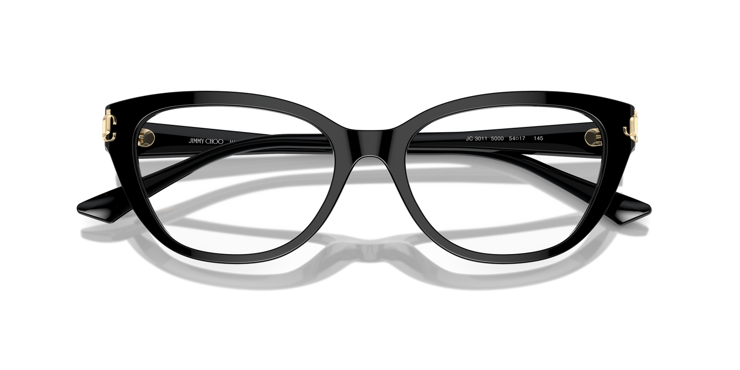 JIMMY CHOO JC3011 5000 54