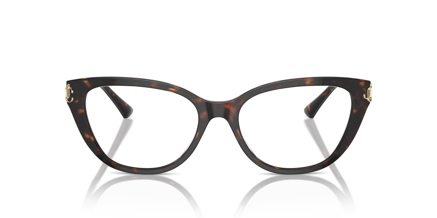 JIMMY CHOO JC3011 5002 54