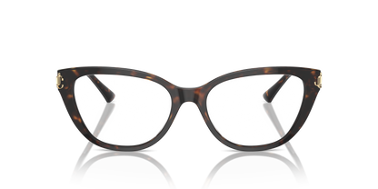 JIMMY CHOO JC3011 5002 54