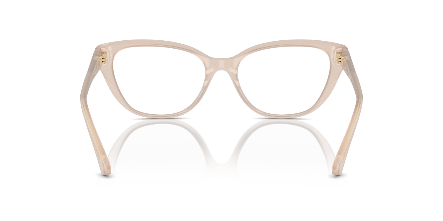 JIMMY CHOO JC3011 5025 52