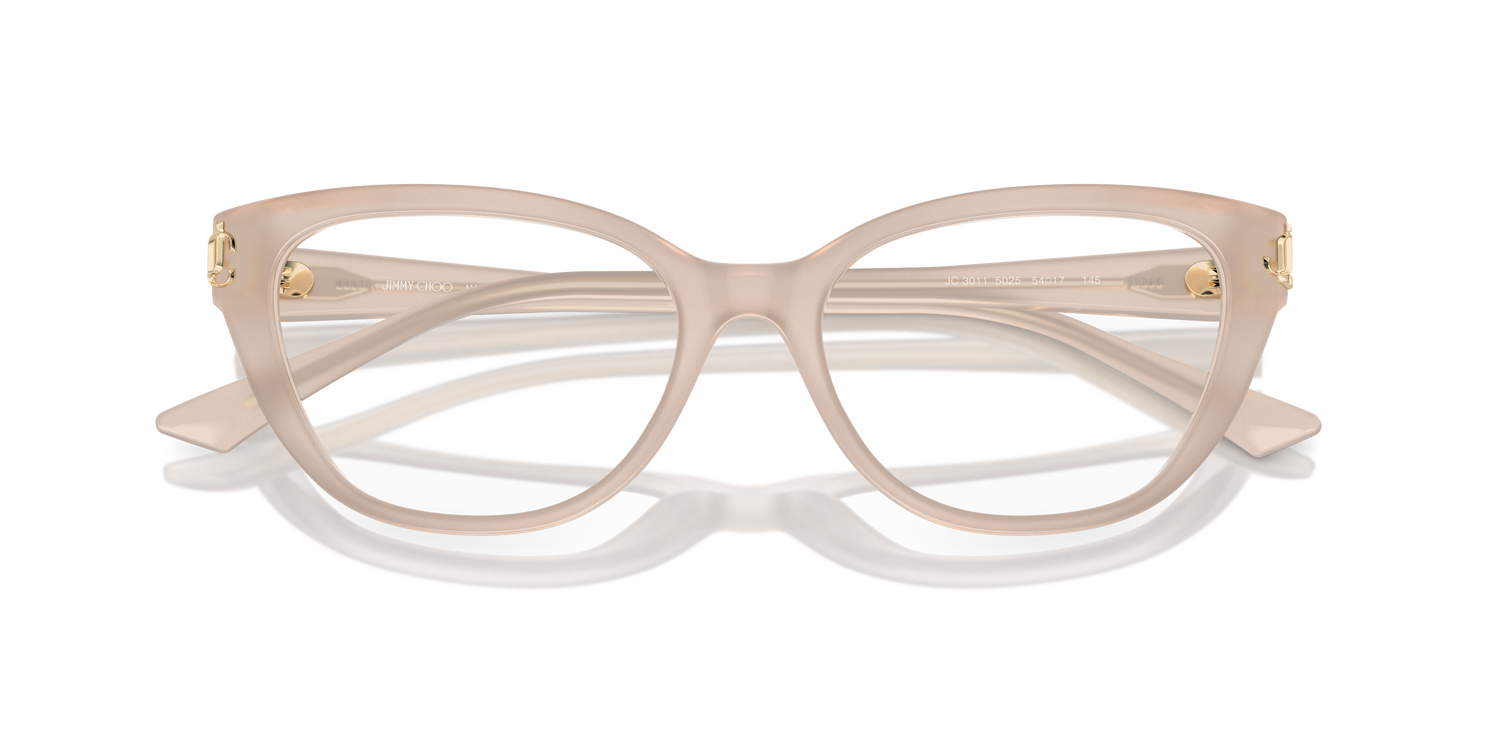 JIMMY CHOO JC3011 5025 52