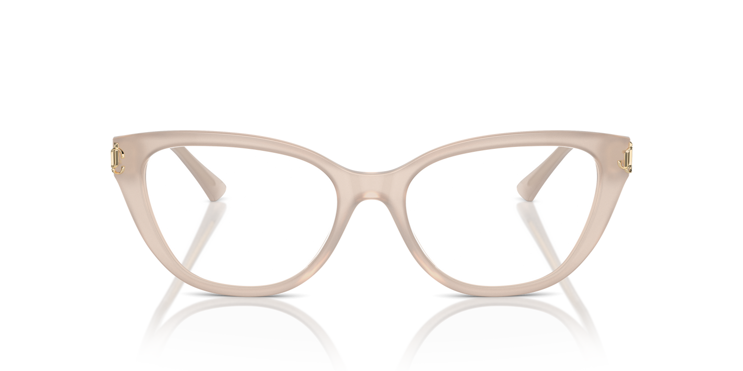 JIMMY CHOO JC3011 5025 54