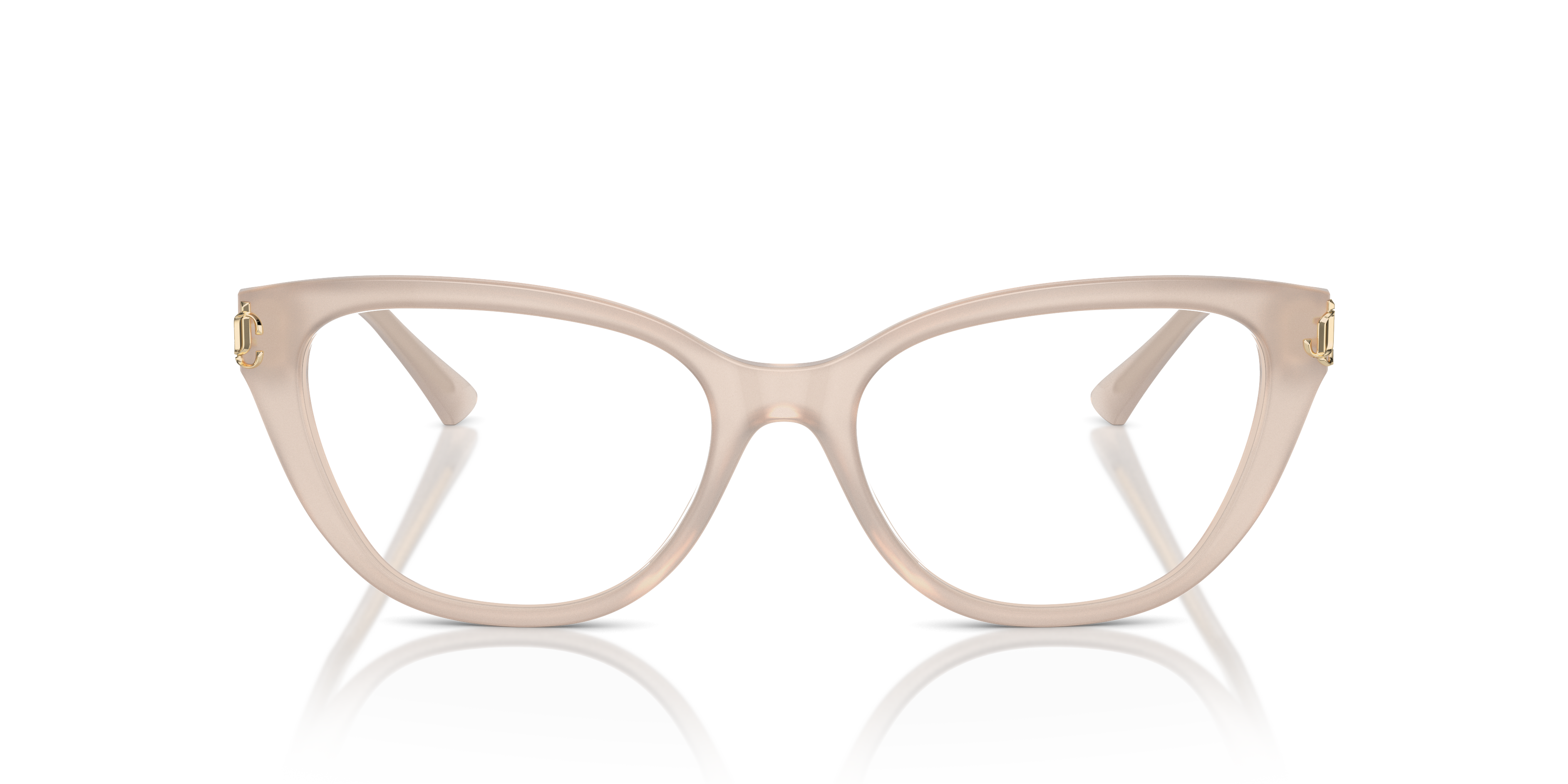 JIMMY CHOO JC3011 5025 54