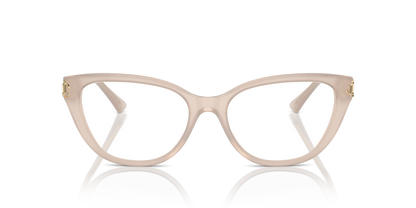 JIMMY CHOO JC3011 5025 54