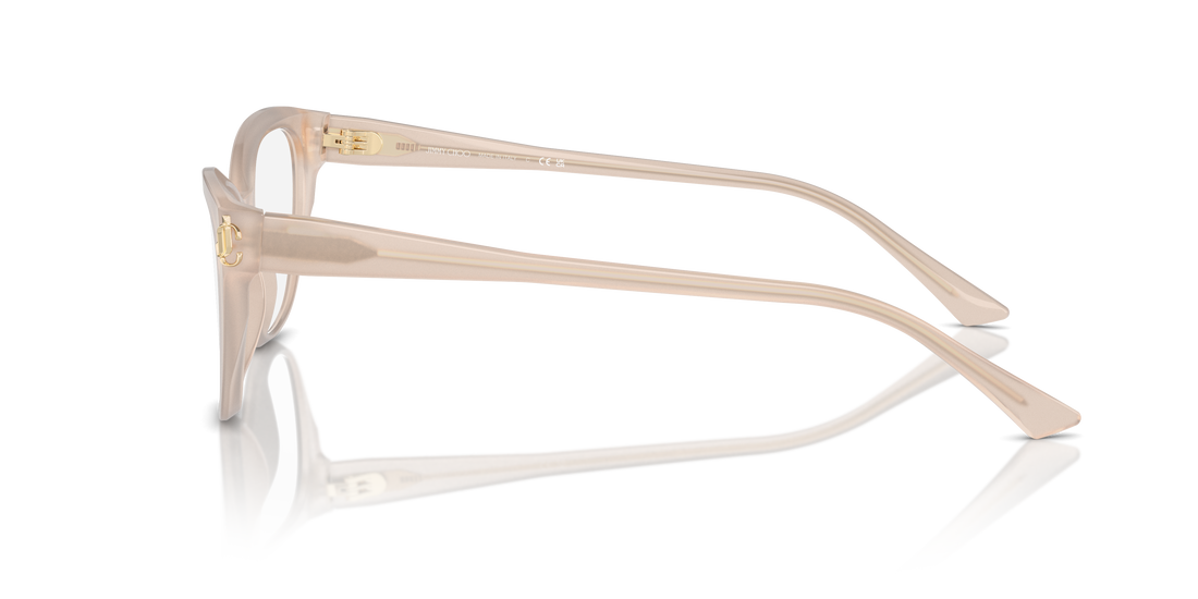 JIMMY CHOO JC3011 5025 54