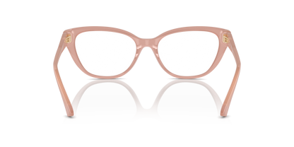 JIMMY CHOO JC3011 5027 52