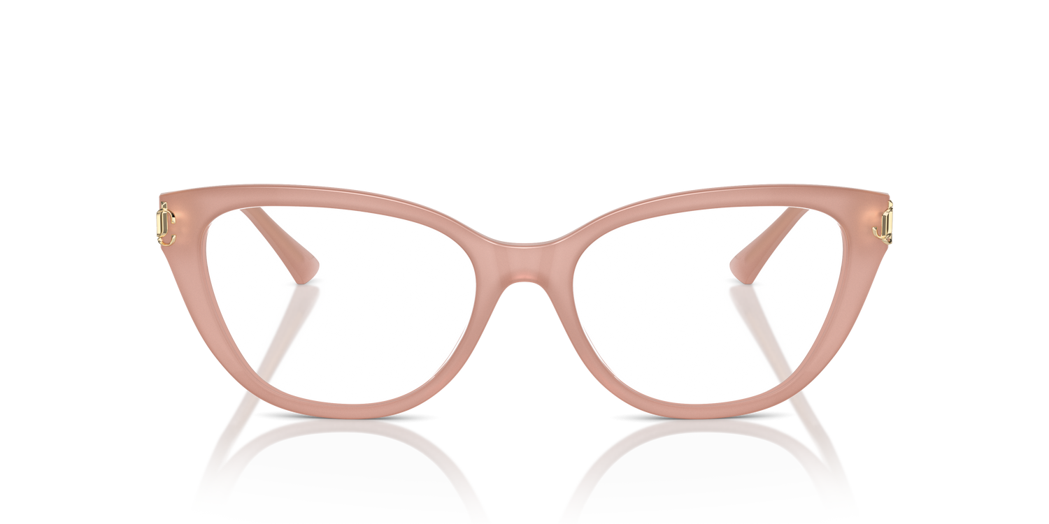 JIMMY CHOO JC3011 5027 54