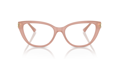 JIMMY CHOO JC3011 5027 54