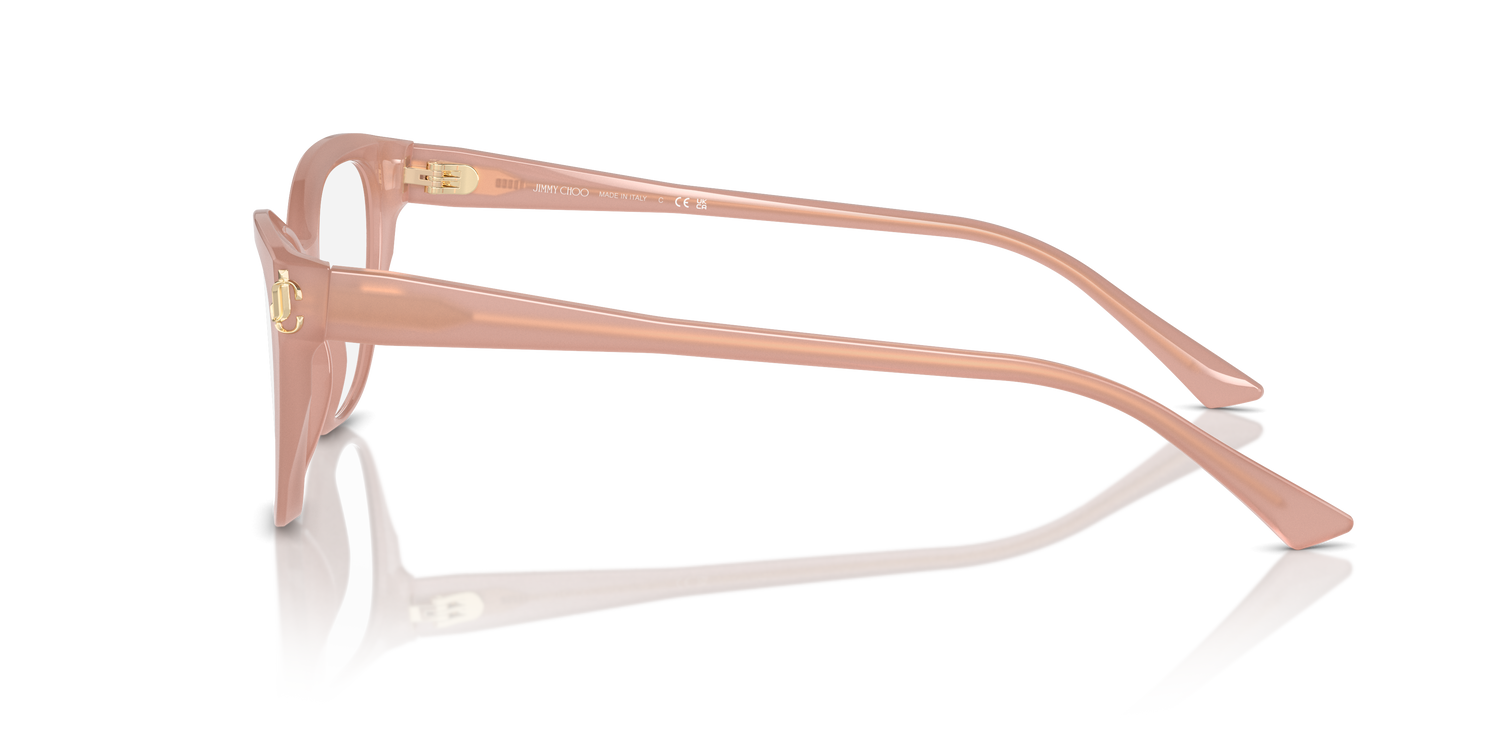 JIMMY CHOO JC3011 5027 54