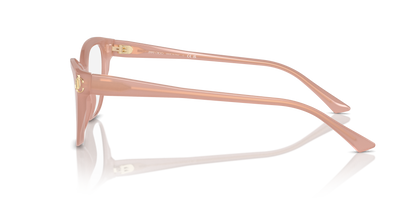 JIMMY CHOO JC3011 5027 52