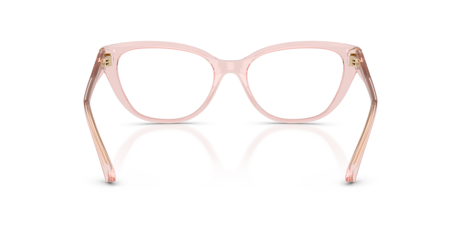 JIMMY CHOO JC3011 5034 54