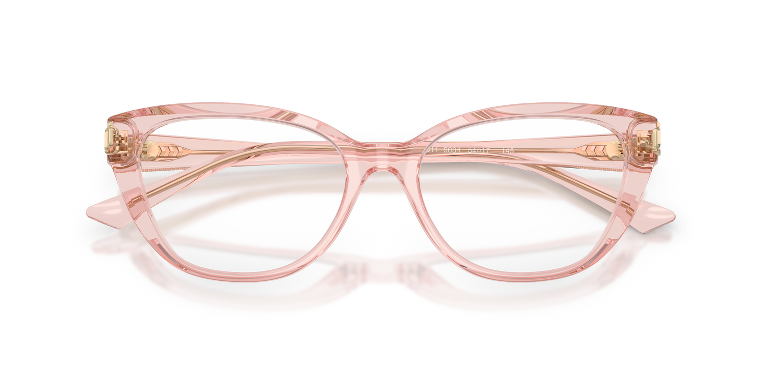 JIMMY CHOO JC3011 5034 52