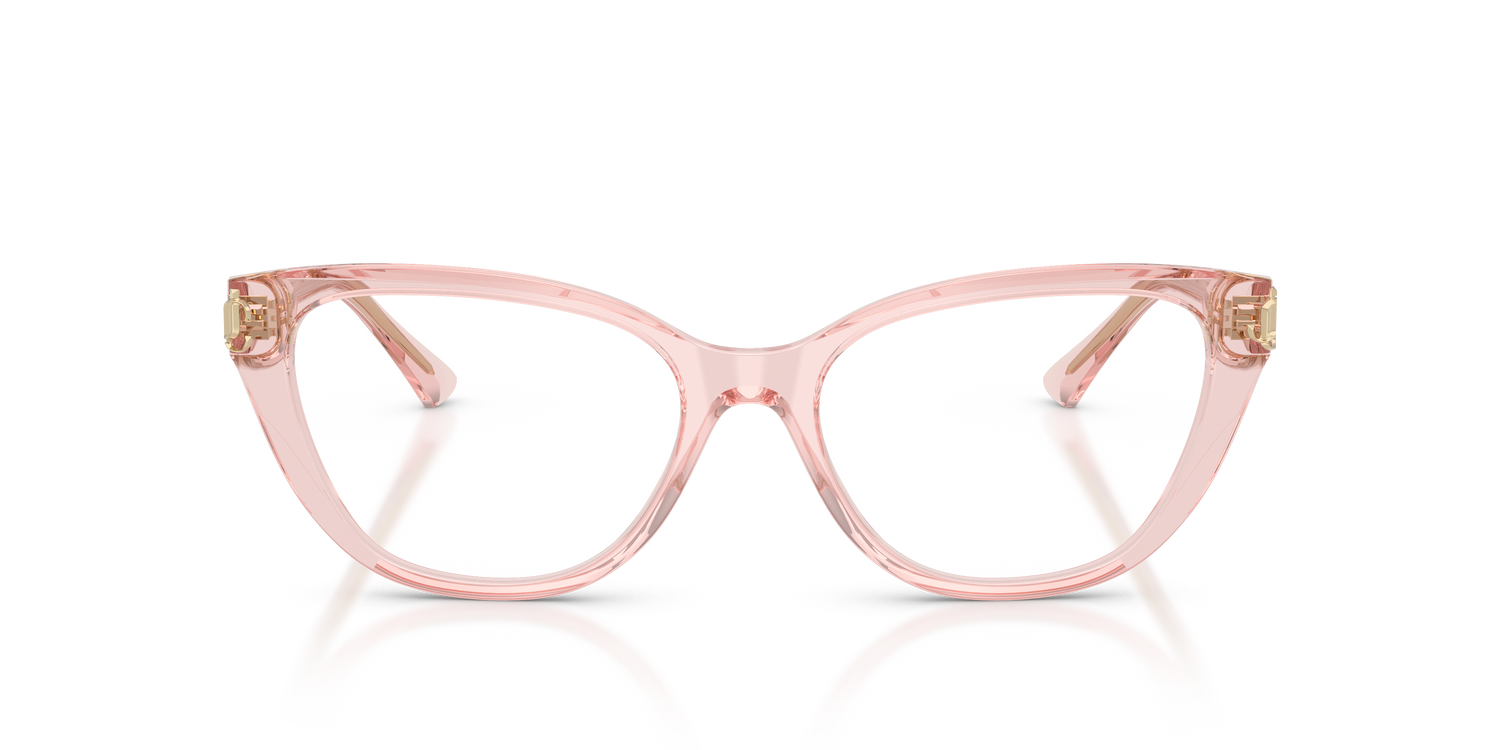 JIMMY CHOO JC3011 5034 52