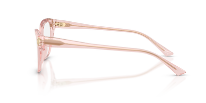 JIMMY CHOO JC3011 5034 54