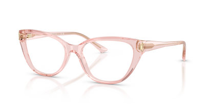 JIMMY CHOO JC3011 5034 52