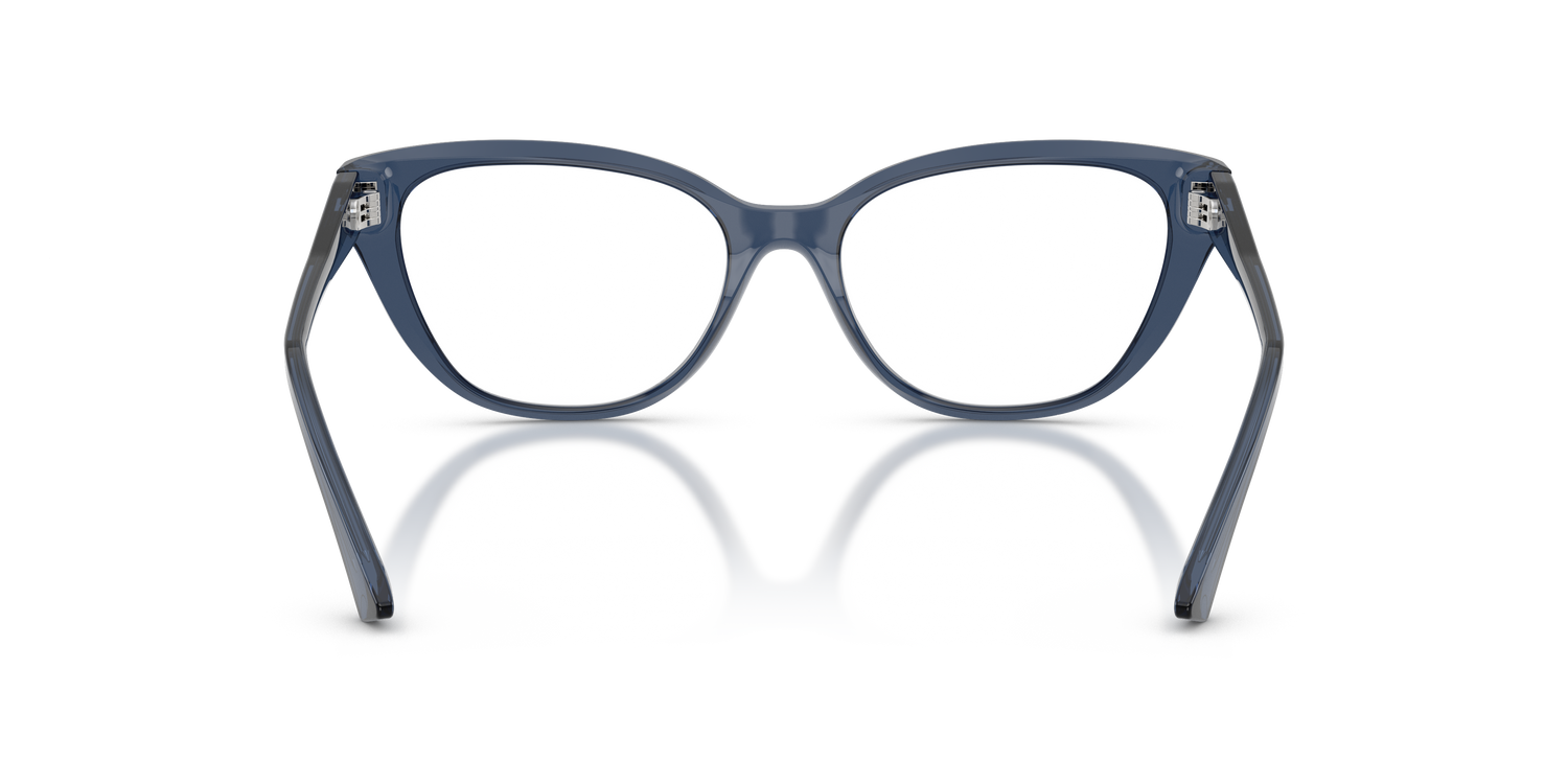 JIMMY CHOO JC3011 5035 52