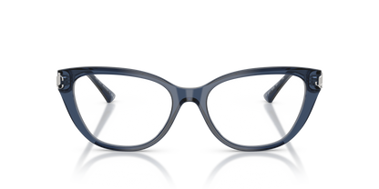 JIMMY CHOO JC3011 5035 52