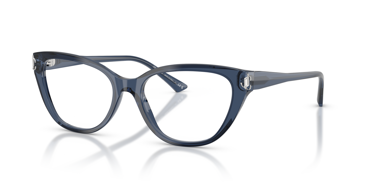 JIMMY CHOO JC3011 5035 54