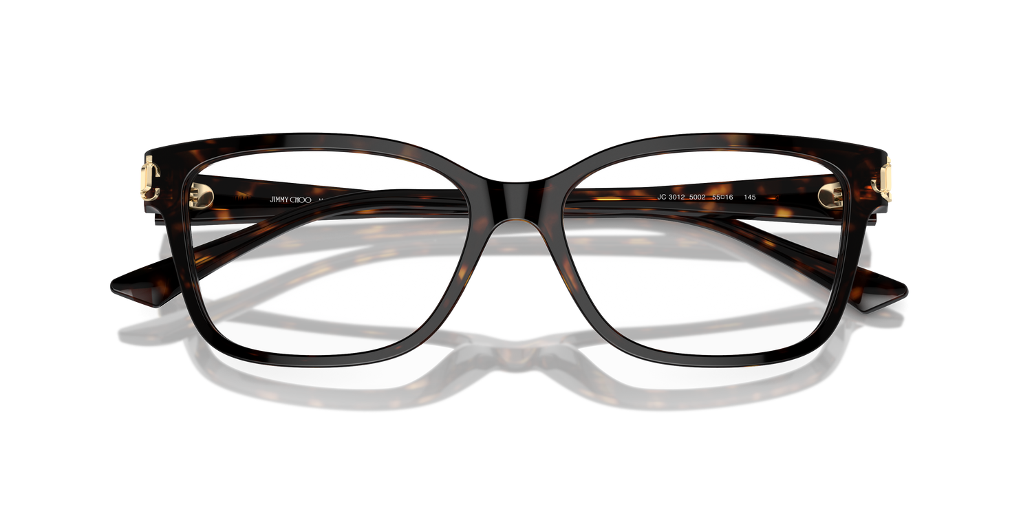 JIMMY CHOO JC3012 5002 55