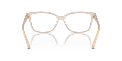 JIMMY CHOO JC3012 5025 55