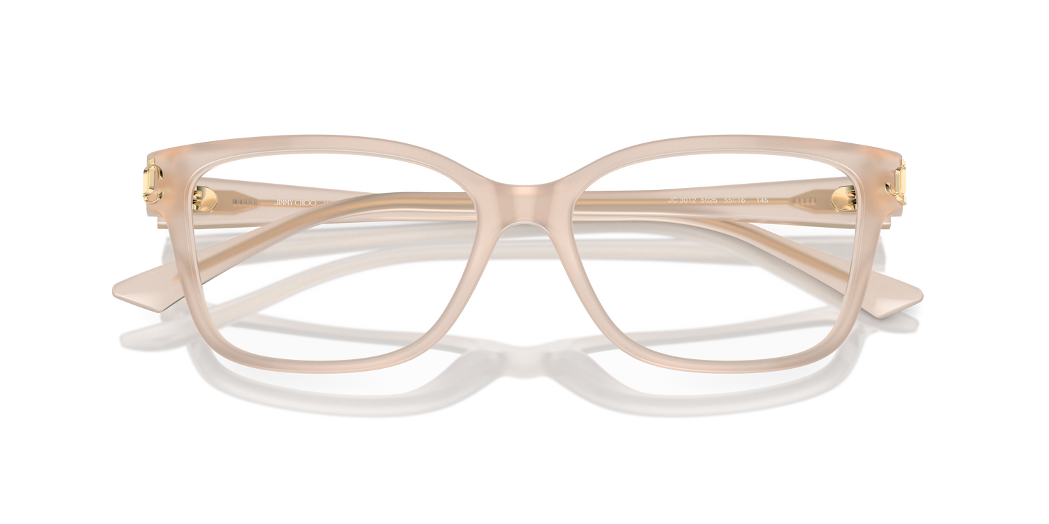 JIMMY CHOO JC3012 5025 55