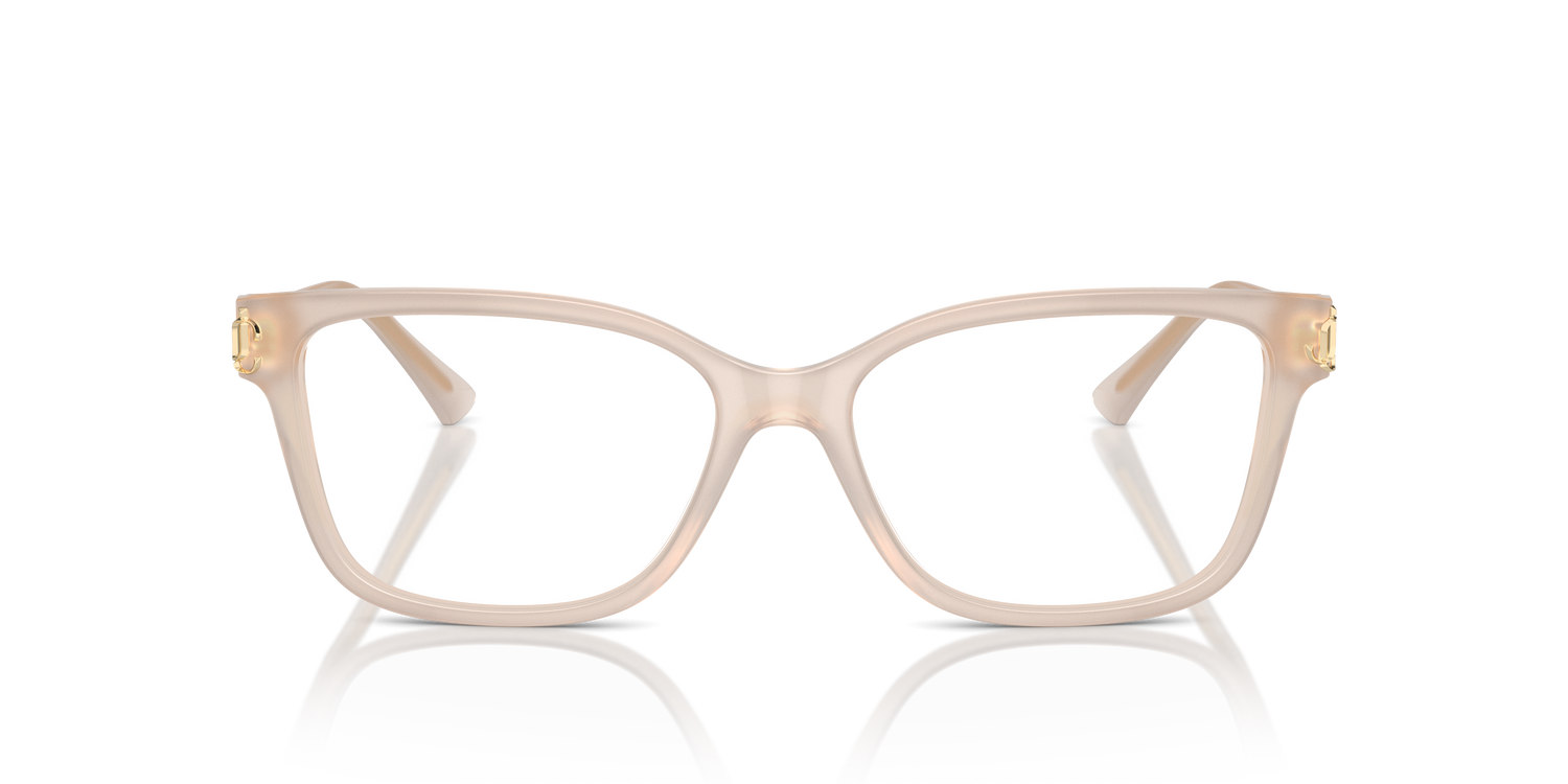 JIMMY CHOO JC3012 5025 55