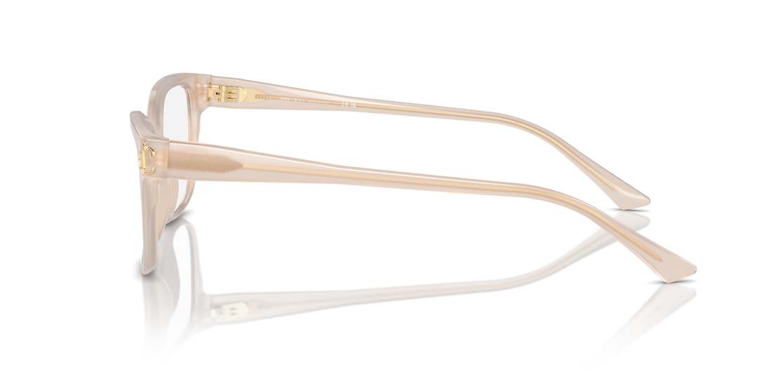 JIMMY CHOO JC3012 5025 55