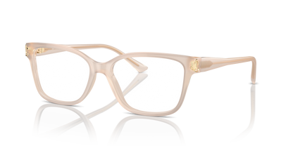 JIMMY CHOO JC3012 5025 55