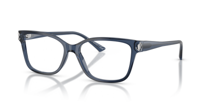 JIMMY CHOO JC3012 5035 55