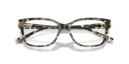 JIMMY CHOO JC3012 5068 55