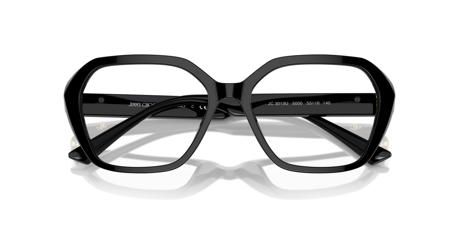 JIMMY CHOO JC3013U 5000 55