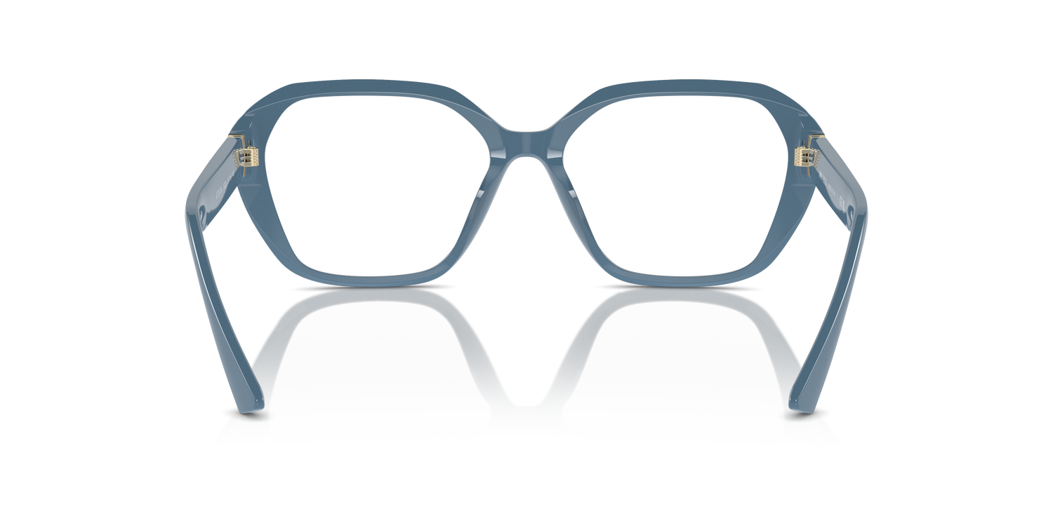 JIMMY CHOO JC3013U 5020 55