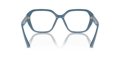 JIMMY CHOO JC3013U 5020 55