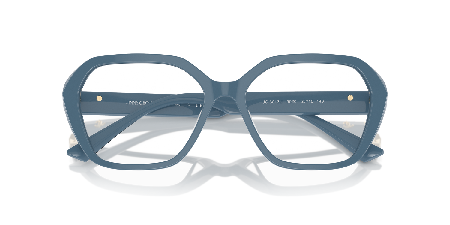 JIMMY CHOO JC3013U 5020 55