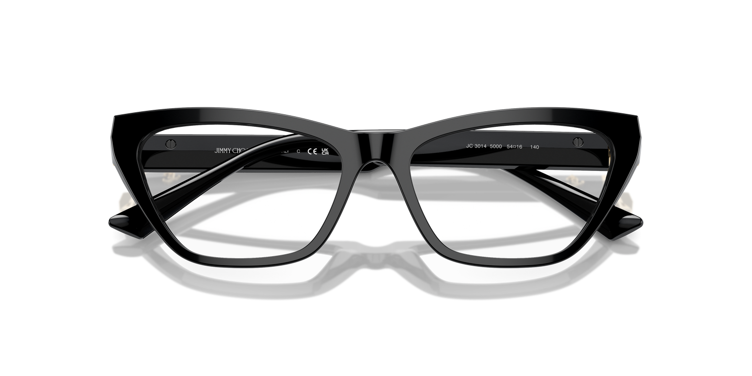 JIMMY CHOO JC3014 5000 52