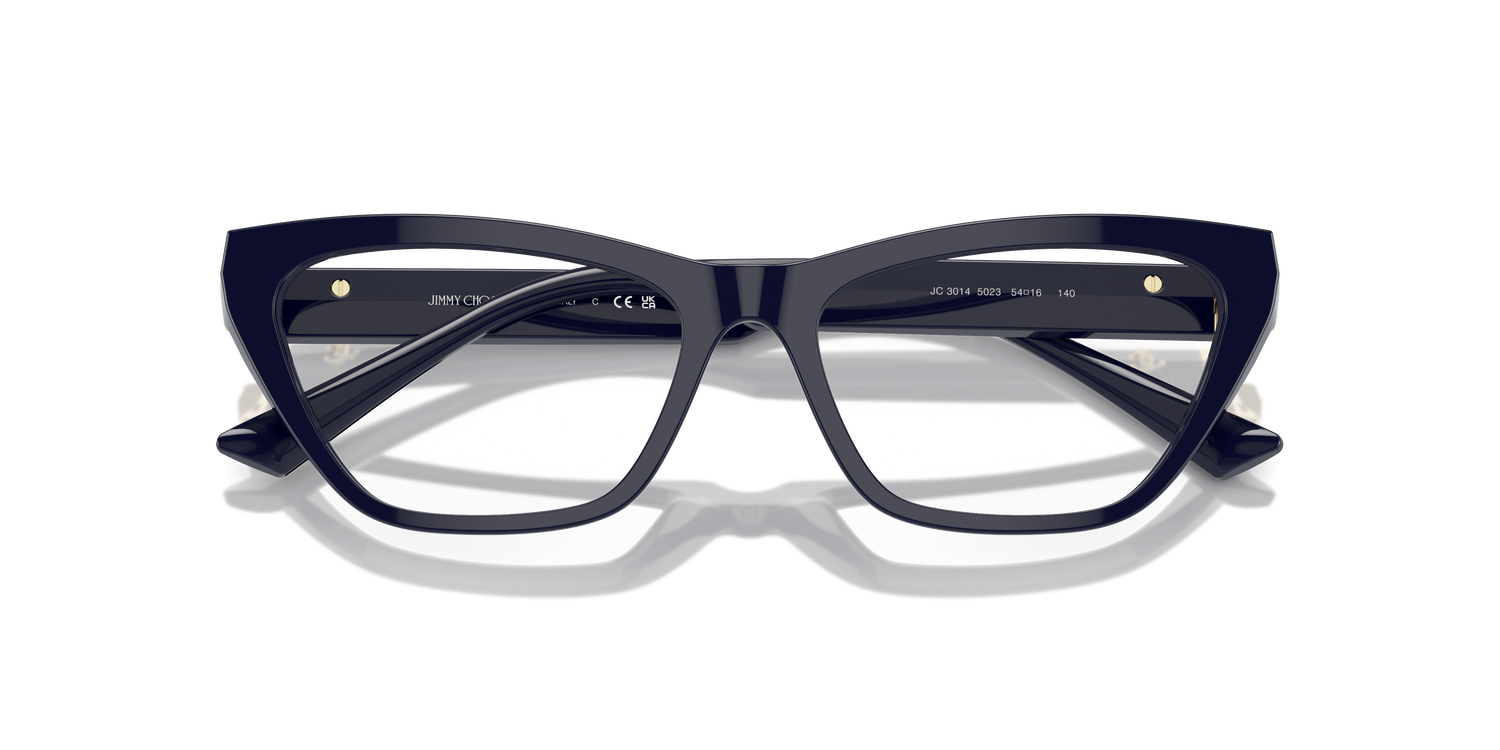 JIMMY CHOO JC3014 5023 52