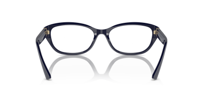 JIMMY CHOO JC3015 5023 53