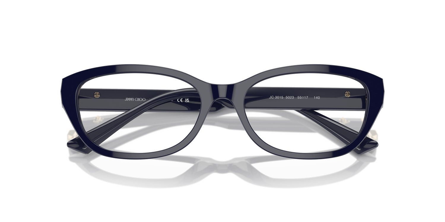 JIMMY CHOO JC3015 5023 53