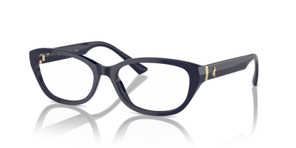 JIMMY CHOO JC3015 5023 55