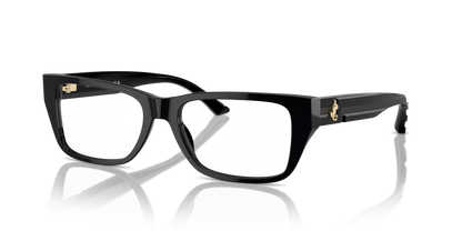 JIMMY CHOO JC3016 5000 52