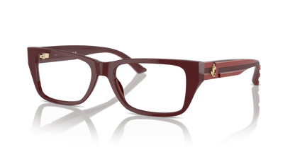 JIMMY CHOO JC3016 5013 52