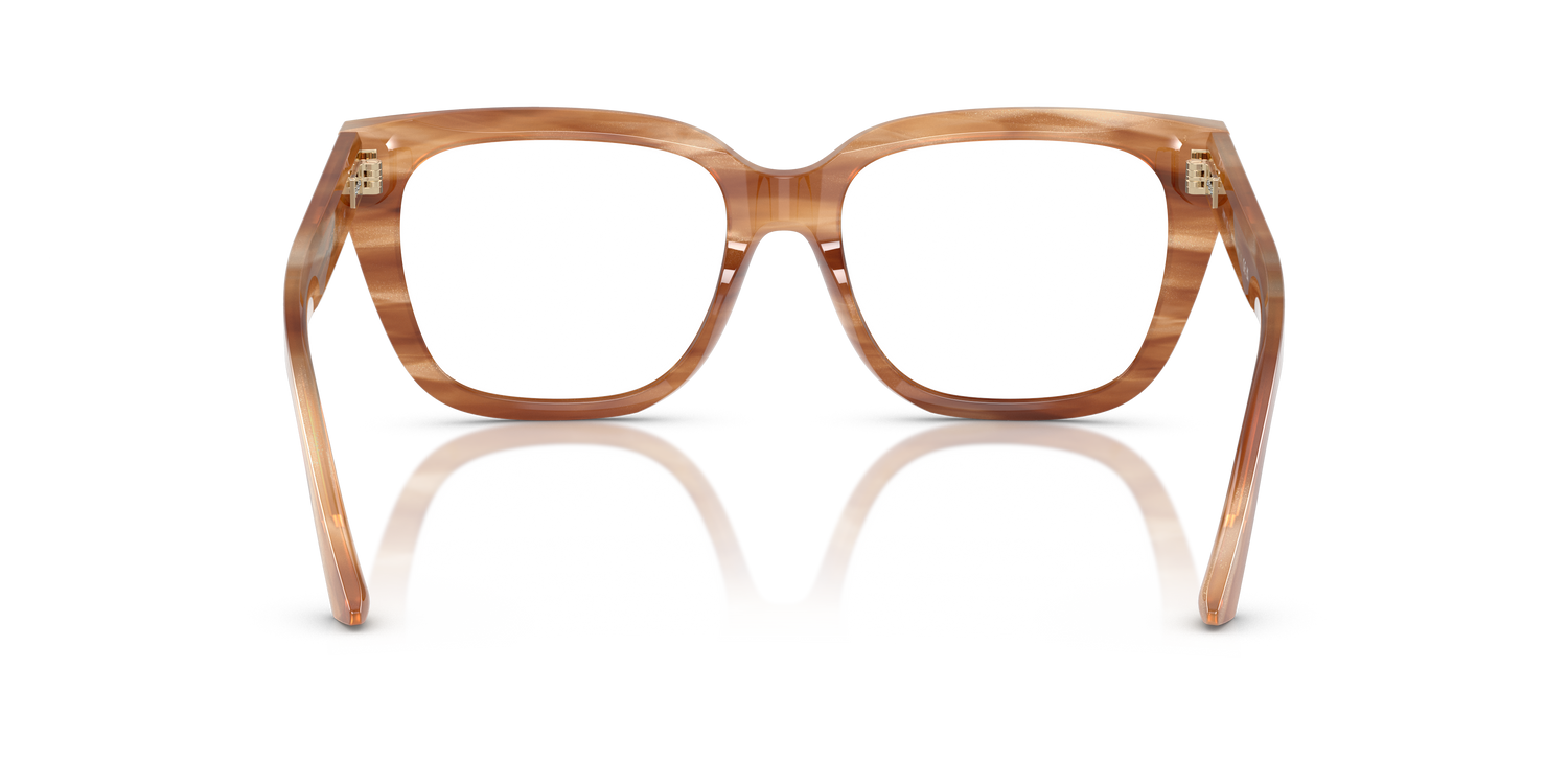 JIMMY CHOO JC3019B 5055 52