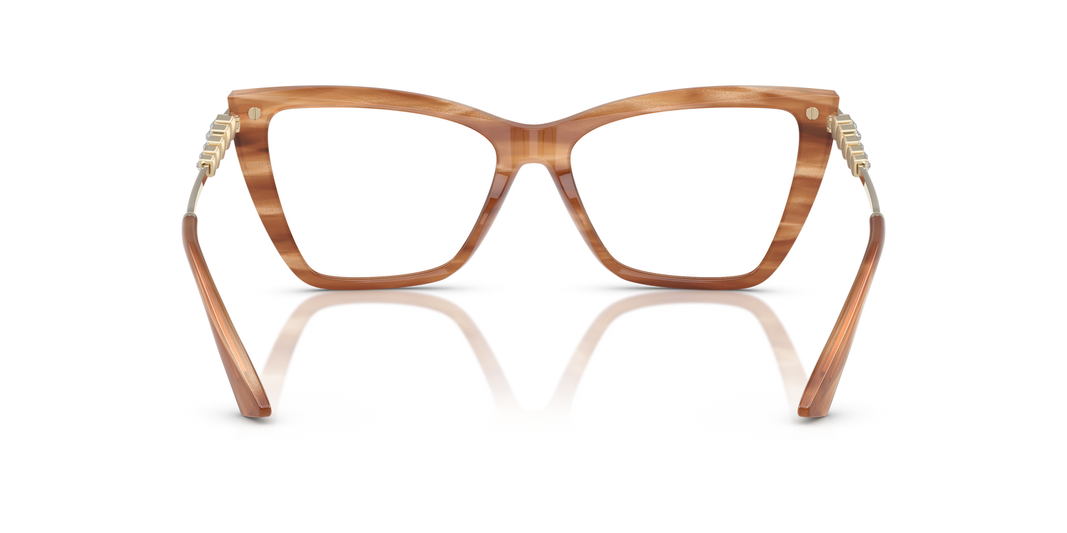 JIMMY CHOO JC3020B 5055 55