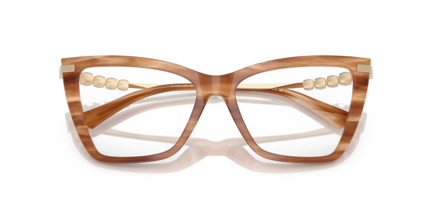 JIMMY CHOO JC3020B 5055 55