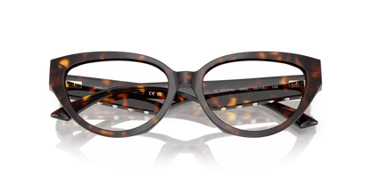 JIMMY CHOO JC3023HU 5002 55